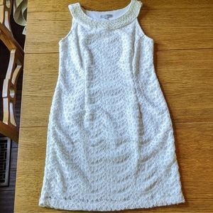 Sandra Darren Lace Stretch Dress Pearl Neckline 4P